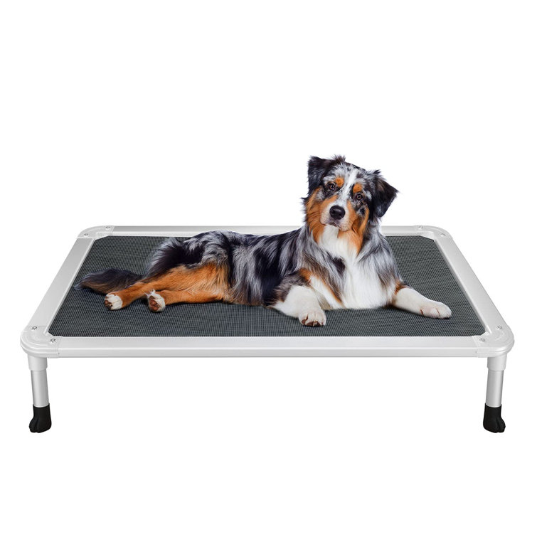 Tucker Murphy Pet™ Chew Proof Elevated Dog Bed Cooling Raised Pet Cot